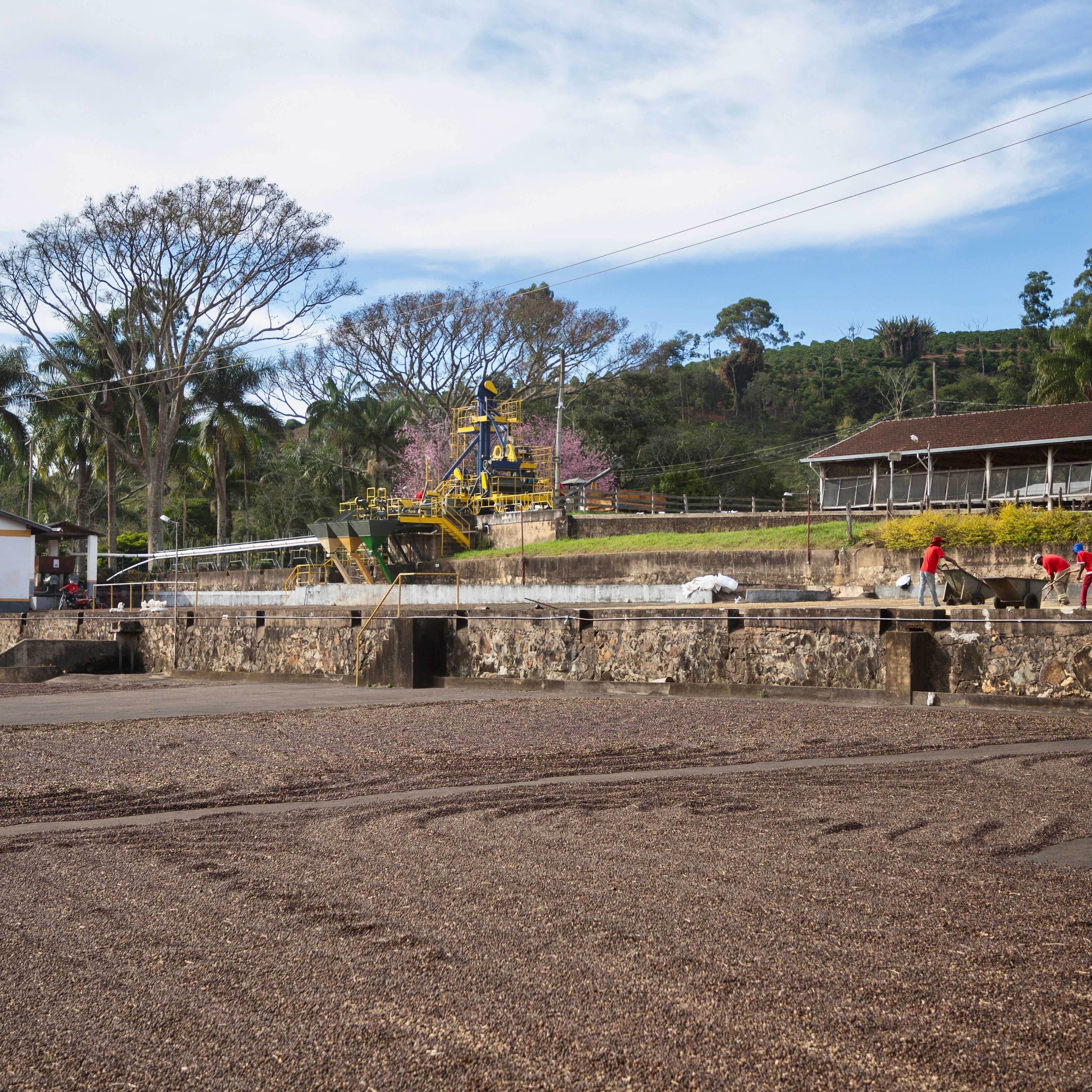 Brazil: Barreiro - Image 3