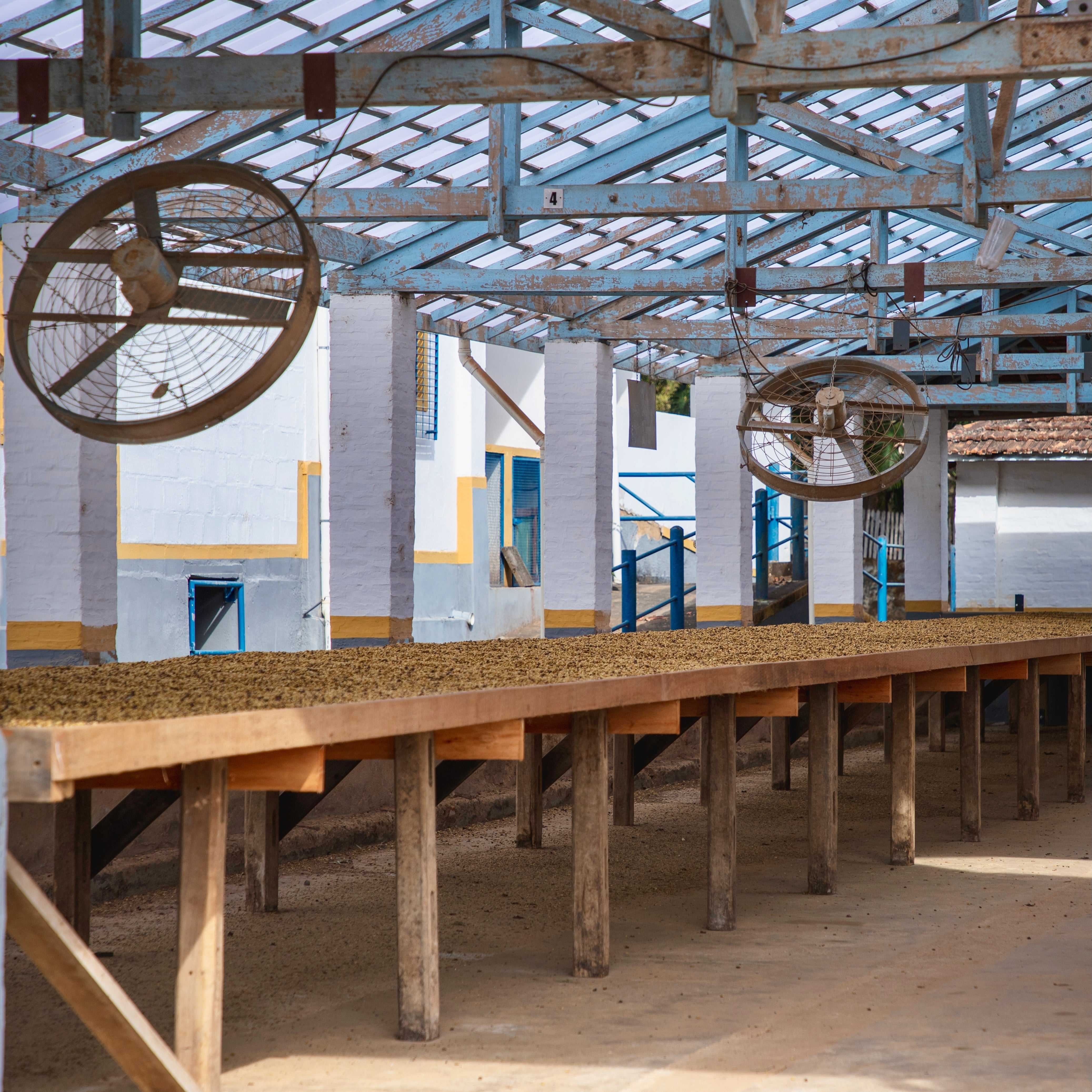 Brazil: Barreiro - Image 5