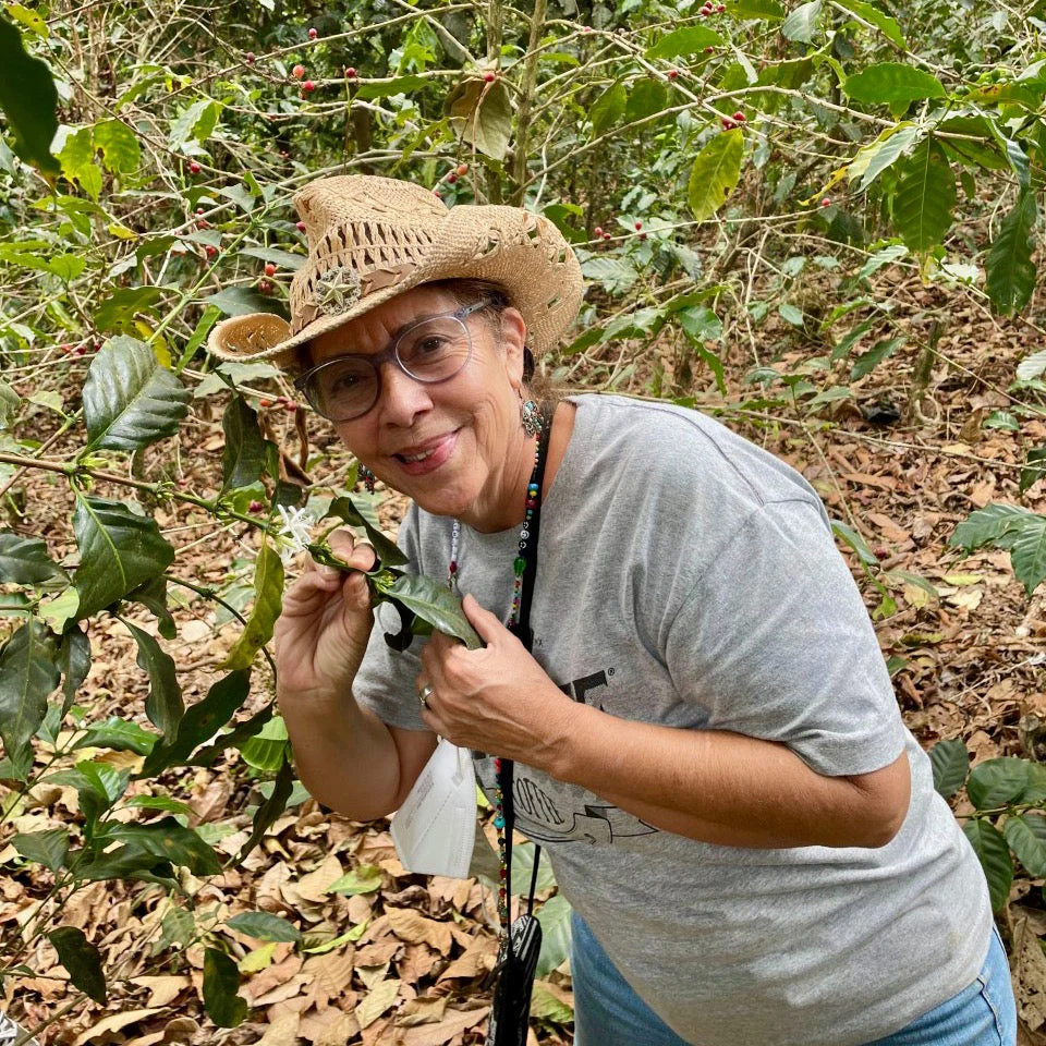 El Salvador: Finca San José, Red Bourbon - Image 3